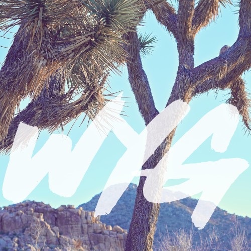 Wyg