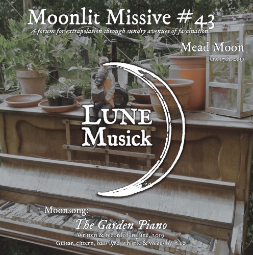 Moonlit Missive #43