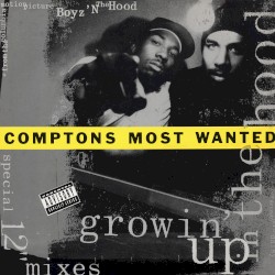 Growin’ Up in the Hood