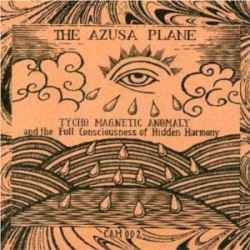 Tycho‐Magnetic Anomaly and the Full Consciousness of Hidden Harmony