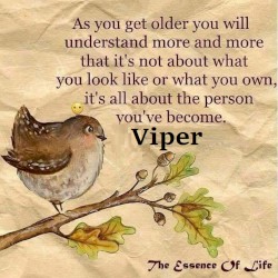 THE ESSENCE OF LIFE