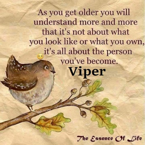 THE ESSENCE OF LIFE