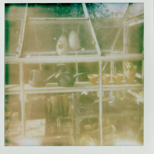 Allotment Tapes #7 - Nostalgia for Broad Beans (with Cathy Symes)
