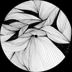 Benzo (Remixes)