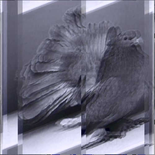 Serialsceptre01