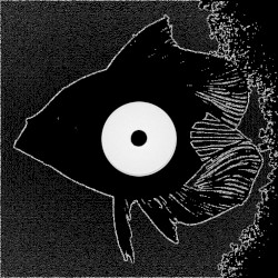 Octopus Funk EP
