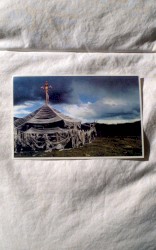 Ulaan Passerine