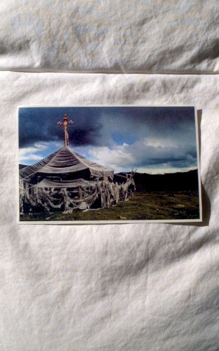 Ulaan Passerine