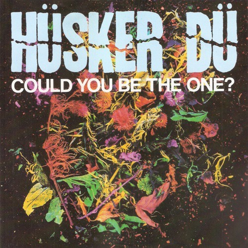 Could You Be the One?