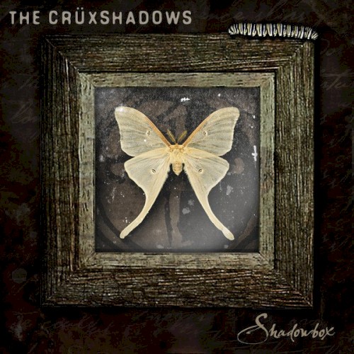 Shadowbox