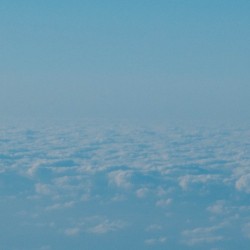 Die Gedanken Sind Frei