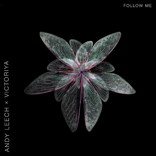 Follow Me