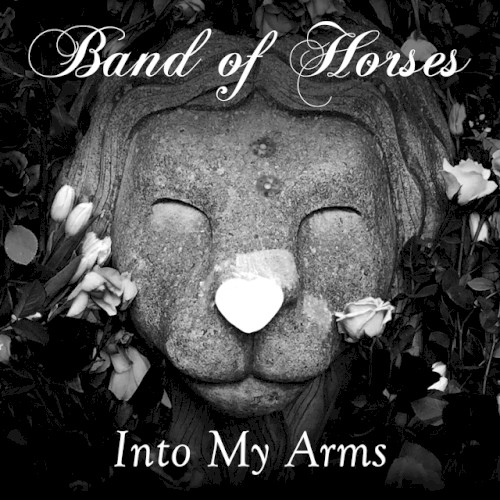Into My Arms