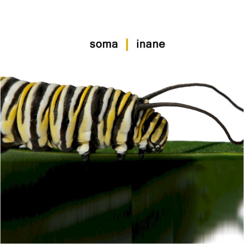 Inane