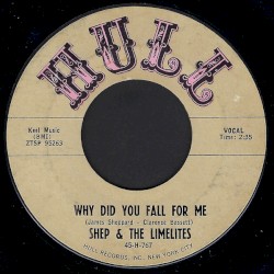 Why Did You Fall For Me / I'm All Alone