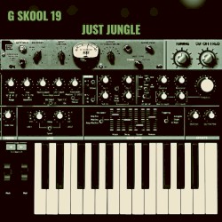 G Skool 19