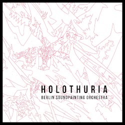 Holothuria
