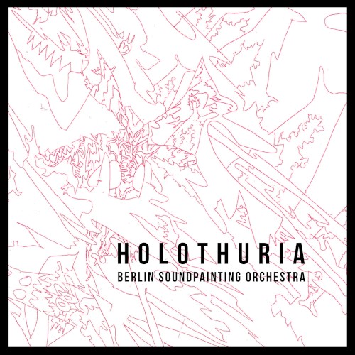 Holothuria