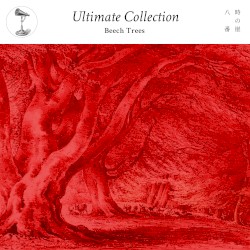Ultimate_Collection “'beech trees'”