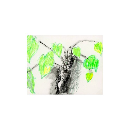 Diary Music II