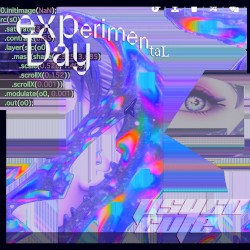 experimental day