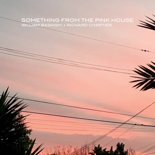 Something From the Pink House