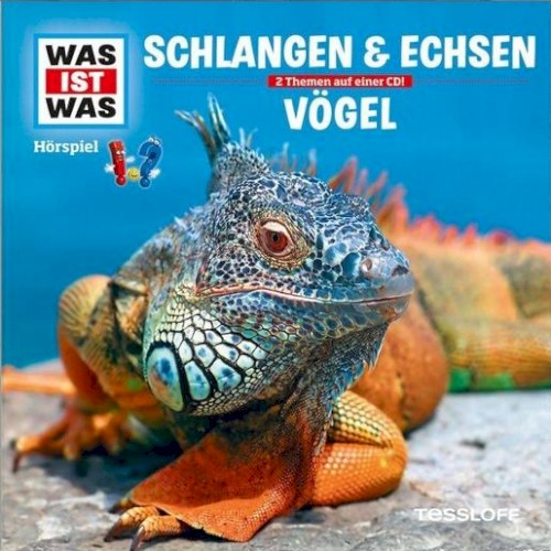 Schlangen & Echsen / Vögel