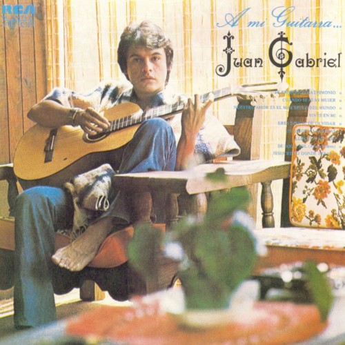 A mi guitarra