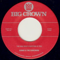 The One Who's Hurting Is You b/w Should I Take You Home