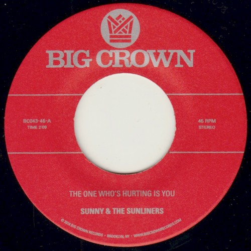 The One Who's Hurting Is You b/w Should I Take You Home