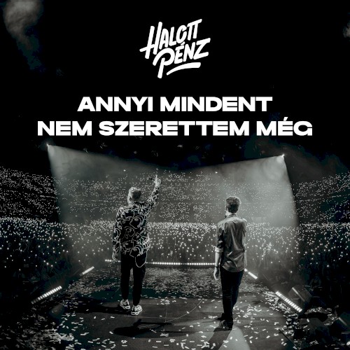 Annyi mindent nem szerettem még