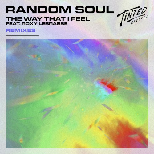 The Way That I Feel (Remixes)