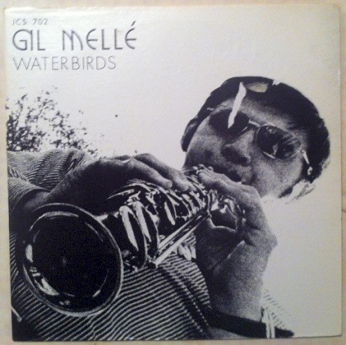 Waterbirds