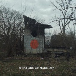 What Are We Made Of?