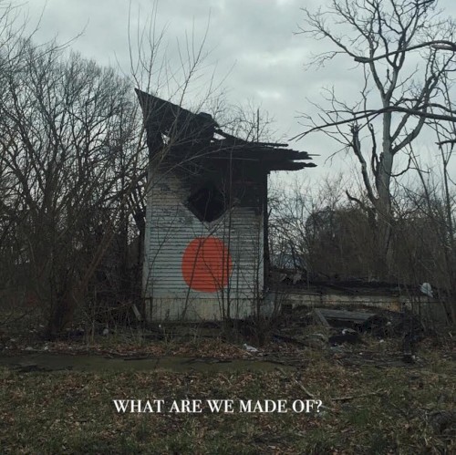 What Are We Made Of?