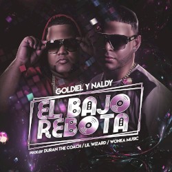 El bajo rebota
