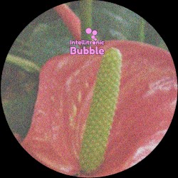 Anthurium 002