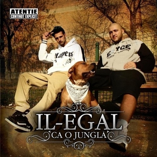 Ca o junglă