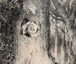 The Tree Song Oak and Ash and Thorn