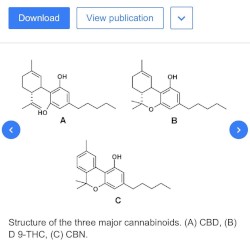 CBD (remix)