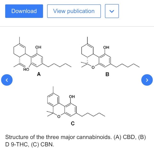 CBD (remix)