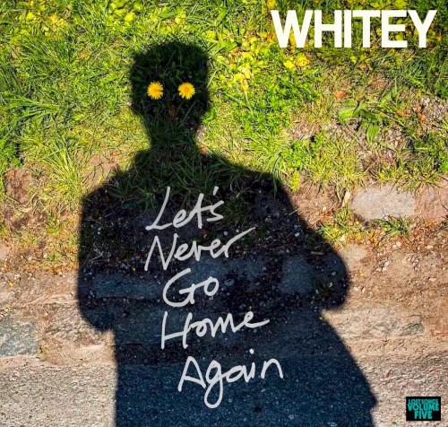 LET'S NEVER GO HOME AGAIN (Lost Songs 5)