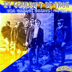 USA Garage Greats 1965-1967: Vol. 19: It Couldn't Be True