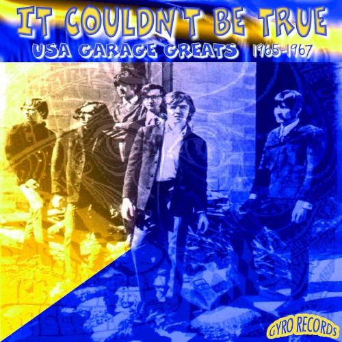 USA Garage Greats 1965-1967: Vol. 19: It Couldn't Be True