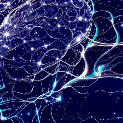 BRAINWAVES