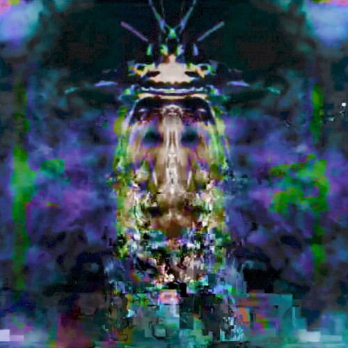 Cālīgō Nēbūlā