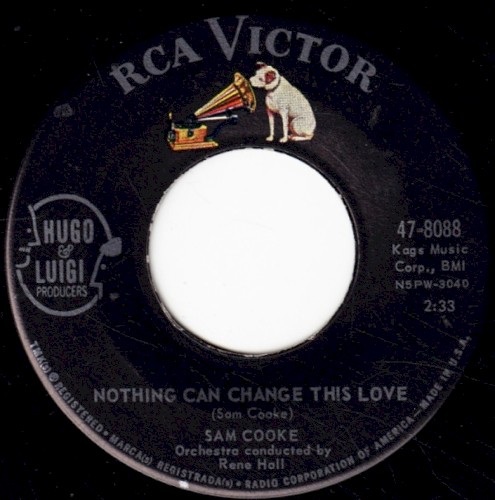 Nothing Can Change This Love
