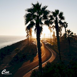 Chill Vibes