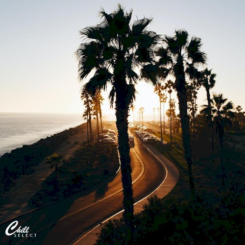 Chill Vibes