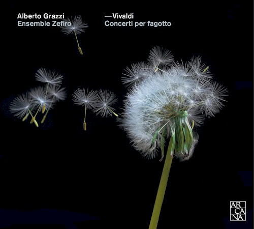 Concerti per fagotto